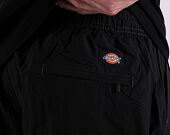 Shorts Dickies JACKSON CARGO SHORT DK0A4YACBLK1
