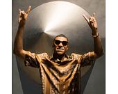 Sonnenbrille Oakley HSTN "Kylian Mbappé" Dark Amber/Light Curry - Prizm Tungsten