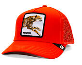 Kappe Goorin - The Nonstop Cheetah