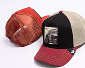 Kappe Goorin - Tricolor Tortiouse - Multi Color