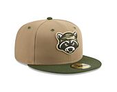 Kappe New Era - MiLB Theme Nights 59FIFTY - Hudson Valley Renegades - Team Color