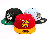 Kappe New Era - MiLB Theme Nights 59FIFTY - Hudson Valley Renegades - Team Color