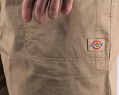 Shorts Dickies PELICAN RAPIDS DK0A4XB2DS01