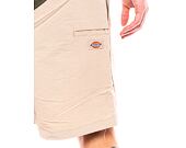Shorts Dickies Fincastle Short DK0A4YSLSS01
