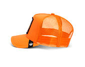 Kappe Goorin - The Dog Pitbull - Orange