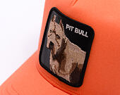 Kappe Goorin - The Dog Pitbull - Orange