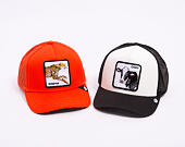 Kappe Goorin - The Nonstop Cheetah