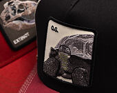 Kappe Goorin - Tricolor Tortiouse - Multi Color